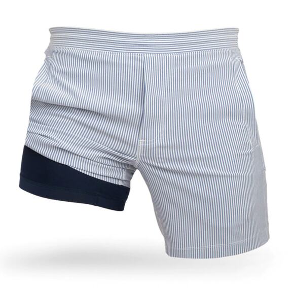 Copied - Bird Dogs  Gray Pinstriped High Waisted Casual Shorts - Picture 3 of 4